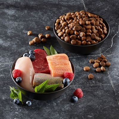 Miska ze świeżymi składnikami: kurczak, wołowina, łosoś, jagody i zioła. Obok miska z brązowymi suchymi krokietami.