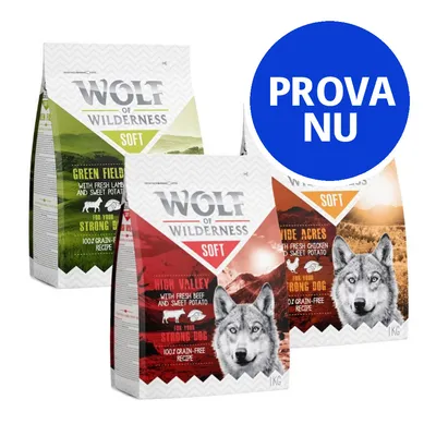 Wolf of Wilderness Soft hundfoder, synliga varianter: Green Fields med lamm och sötpotatis, High Valley med nötkött och sötpotatis, Wide Acres med kyckling. Prova nu.