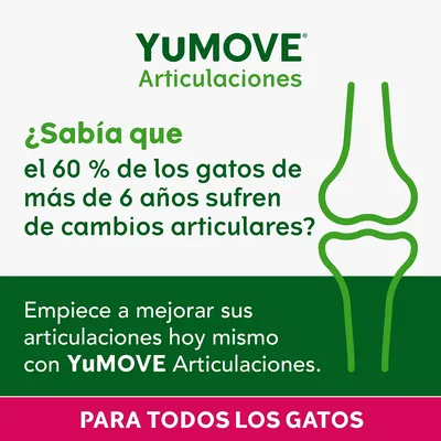 YuMOVE Joint Care All Cats - 60 cápsulas