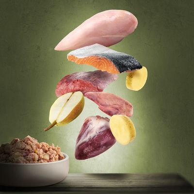 Rå ingredienser: kyllingebryst, laksefilet med skind, oksekød, kartoffel, æble og hjerte over en skål med færdig vådfoder. Ingen synlige mærker eller tekst.