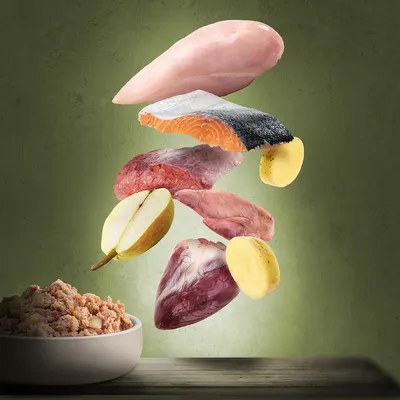 Rå ingredienser: kyllingebryst, laksefilet med skind, oksekød, kartoffel, æble og hjerte over en skål med færdig vådfoder. Ingen synlige mærker eller tekst.
