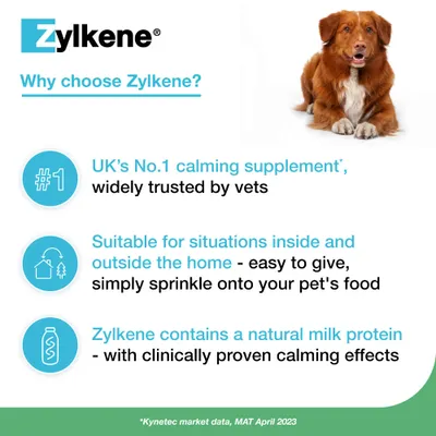 Zylkene Calming Supplement for Medium Dogs 10 - 30 kg - Saver Pack: 2 x 20 Capsules