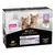 Purina Pro Plan Kitten food with turkey in gravy, supports healthy vision and brain development, no added colourants, ISFM veterinary approved, 10 x 85g pouches.