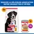 Hill's Science Plan Adult 1-5 Large poulet pour chien