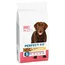 Perfect Fit Adult Hund (>10kg) - Sparpaket: 2 x 6 kg