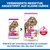 Hill's Science Plan Senior 11+ Small & Mini mit Huhn
