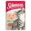 Økonomipakke: 44/48 x 100 g Schmusy  - Ragout Kylling i sauce (44 x 100 g)