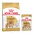 Spitz Nain Adult (3 kg) + sachets Spitz Nain Adult en mousse (12 x 85 g)