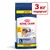 Royal Canin maxi adult 15 кг + 3 кг безплатно, 3 кг подарък. Опаковка с изображение на голямо куче. Видимо: надпис Digestive health.