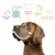 Nourriture saine, équilibre parfait protéines-graisses, bien-être animal, meilleure planète, chiens heureux en bonne santé – texte illustré au-dessus d’un chien.