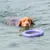 Purple floating play ring in water, suitable for fetch games.