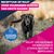 Eukanuba Thriving Mature Large Breed Hondenvoer