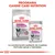 Royal Canin Relax Care, pienso seco Mini y sobre húmedo All Sizes. Texto: Programa Canine Care Nutrition. La combinación perfecta de nuestras fórmulas secas y húmedas.