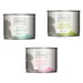Kombi-Paket MjAMjAM 36 x 200 g - Mixpaket 4 (3 Sorten)