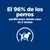 El 96% de los perros perdió peso desde casa en 2 meses. Imagen de perro con cinta métrica alrededor del cuerpo.