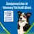 Goedkeuringstekst: 'Goedgekeurd door de Veterinary Oral Health Board'. VOHC Accepted-keurmerk, helpt tandsteenvorming tegengaan. Hond met kauwstaafje in bek zichtbaar.