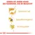Grafik mit Text: 'Geben Sie Ihrem Hund die Nahrung, die er braucht'. Vorteile: Schönes Fell, Appetitanregend, Stuhlqualität. Mit Symbolen für Hund, Futterschale und Verdauung.