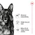 Illustration med text: Hälsosam matsmältning, Stödjer ben och leder, Bidrar till att stödja livslång vitalitet. Royal Canin krona synlig uppe till höger.