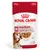 Royal Canin medium ageing Gravy-Salsa koiran märkäruoka, 140 g. Size M, yli 7-vuotiaille keskikokoisille koirille. Muscle mass support -tuki lihasmassalle.
