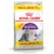Balení Royal Canin Regular Sensible 33, 12 kg (10 kg + 2 kg zdarma), obrázek kočky, text: Optimal Digestion, High Palatability, pro citlivé dospělé kočky.