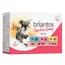 Lot Briantos Bouchées en sauce 48 x 100 g pour chien  - lot mixte (poulet, bœuf, saumon)