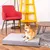 Graues Hundebett mit der Aufschrift 'Classic', platziert in einem Wohnzimmer mit rotem Stuhl, gelbem Regal und Holztisch.