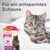 Beaphar CatComfort успокаивающий спот-он для кошек. Помогает при стрессовых ситуациях. Способствует гармонии между кошкой и владельцем. Упаковка с 3 применениями.