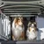 Zwei Hunde sitzen in einem Auto-Kofferraum mit einer stabilen Metall-Trennwand und Tür, geeignet für sichere Tiertransporte.