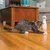 PetSafe® FroliCat® Bolt Laser katteleke