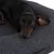 Black dog lying on a dark grey, textured pet bed with padded edge.
