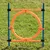 Agility-Hindernis mit orangefarbenem Ring und blauen Stangen, geeignet für Training im Freien auf Gras.