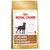 Royal Canin Labrador Retriever 30 Sterilised Adult hondenvoer, Appetite Control, voor volwassen gesteriliseerde Labradors ouder dan 15 maanden. Afbeelding van een bruine Labrador op de verpakking.