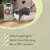 Biokat's Organic Care Wood Fibres litière pour chat, chat dans la litière. Haute capacité d’absorption, contrôle efficace des odeurs, jusqu’à 99 % sans poussière. Biokat's Organic Care Wood Fibres litière pour chat, chat dans la litière. Haute capacité d’absorption, contrôle efficace des odeurs, jusqu’à 99 % sans poussière.