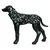 Black dog coat with camouflage pattern and reflective details, Rukka brand visible on the side.