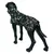 Dog coat with camouflage pattern, brand Hurtta, model Runkeer. Shown on a black dog mannequin.