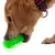 Hond met rode halsband speelt met groen kauwspeelgoed van kunststof.
