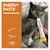 GimCat Energy Paste для кошек, применение прямо из тюбика. Две серые кошки слизывают пасту. Слева: иконки тюбика, руки и миски.