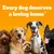 Text reads: Every dog deserves a loving home, with five different dogs shown below the message on an orange background.