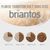 Briantos Adult Light Sterilised dinde & pommes de terre - SANS CÉRÉALES pour chien