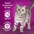 Tasted & approved by cats. Healthy agility. Complete & balanced. 100%. Text and icons on purple background beside a grey tabby cat.