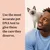 Text reads: Use the most accurate pet DNA test to give them the care they deserve. Image shows a cat next to a person.