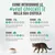 Istruzioni per l’introduzione graduale delle nuove crocchette in 7 giorni, con proporzioni di miscelazione per ogni periodo, presentate in quattro sezioni con testo e simboli. Istruzioni per l’introduzione graduale delle nuove crocchette in 7 giorni, con proporzioni di miscelazione per ogni periodo, presentate in quattro sezioni con testo e simboli.