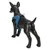 Rukka Hundegeschirr Puff Mini - Größe S: 35 - 45 cm Brustumfang, petrolblau Rukka Hundegeschirr Puff Mini - Größe S: 35 - 45 cm Brustumfang, petrolblau
