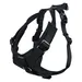 Icepeak Pet Tour Autogeschirr, schwarz - Größe S: 45 - 56 cm Brustumfang
