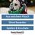 Beeztees Hundespielzeug Weihnachtsbaum - Noel: L 20 x B 17 x H 5,5 cm Beeztees Hundespielzeug Weihnachtsbaum - Noel: L 20 x B 17 x H 5,5 cm