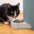 Schwarz-weisse Katze frisst Trockenfutter aus einem Napf, der an einen blauen Futterspender angeschlossen ist.