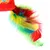 Jouet pour chat avec plumes multicolores rouges, jaunes, vertes et bleues fixées à un tissu rouge. Les matériaux visibles sont tissu et plumes.