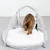 Chat tigré sur un tapis rond blanc avec arches en tissu gris, jouets suspendus (balle brillante, peluche grise, boule en corde, plume noire) visibles.