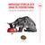 Royal Canin Fussy Exigent