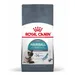 Royal Canin Feline -säästöpakkaus - 2 x 10 kg Hairball Care